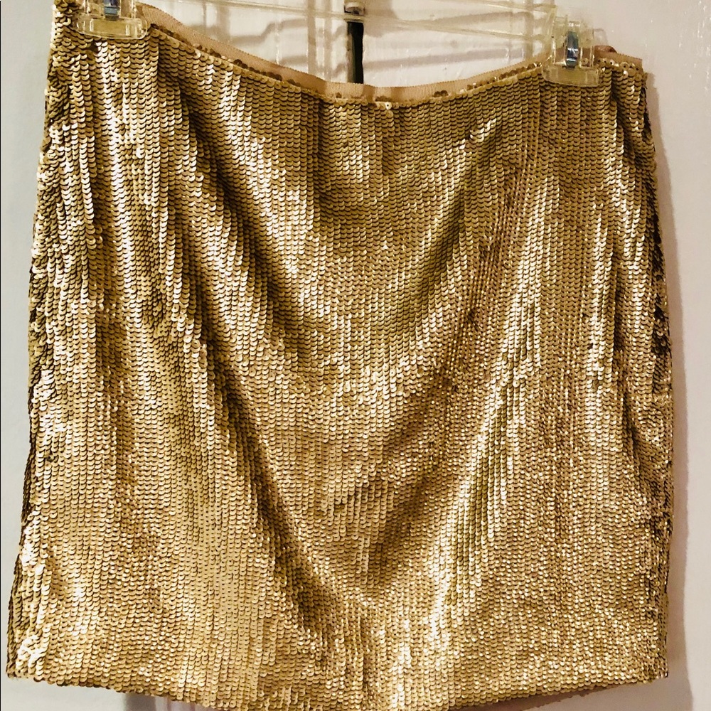 J. Crew Sequence Skirt- brand new- size 10